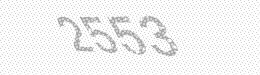 Visual security code — type the characters shown in the image